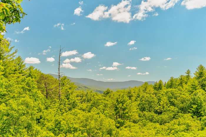 photo 75: 330 Dream Catcher Road, Blue Ridge GA 30513