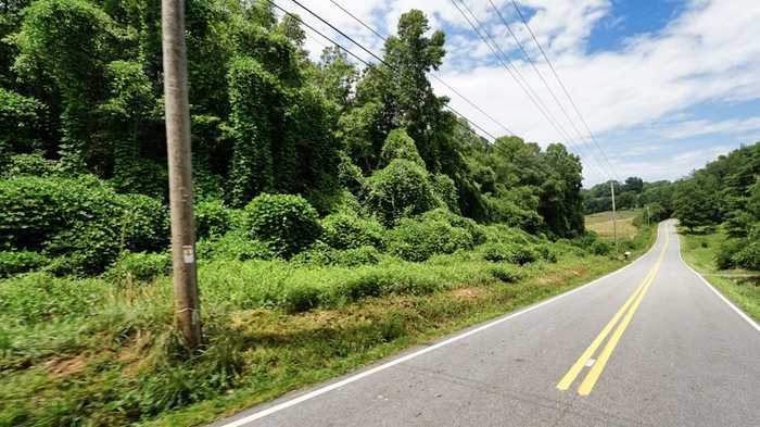 photo 8: Galloway Road, Blue Ridge GA 30513