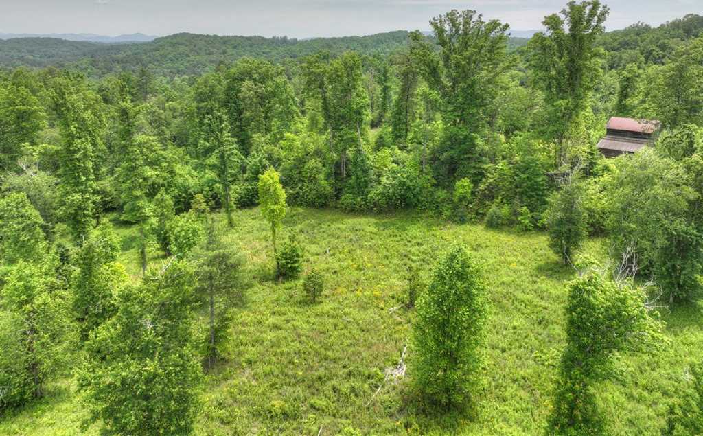 photo 2: LOT 13 Hidden Acres, Blue Ridge GA 30513