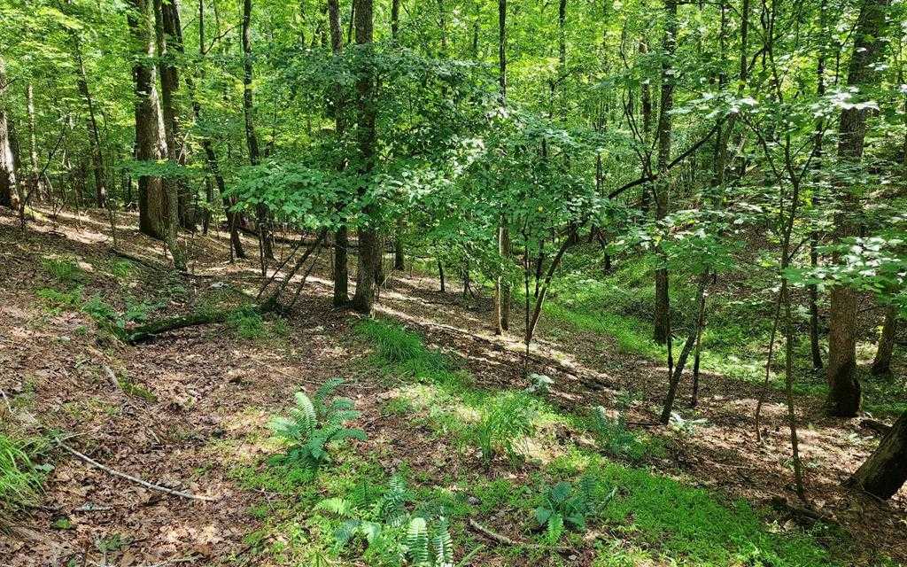 photo 1: Oneida Circle, Ellijay GA 30540