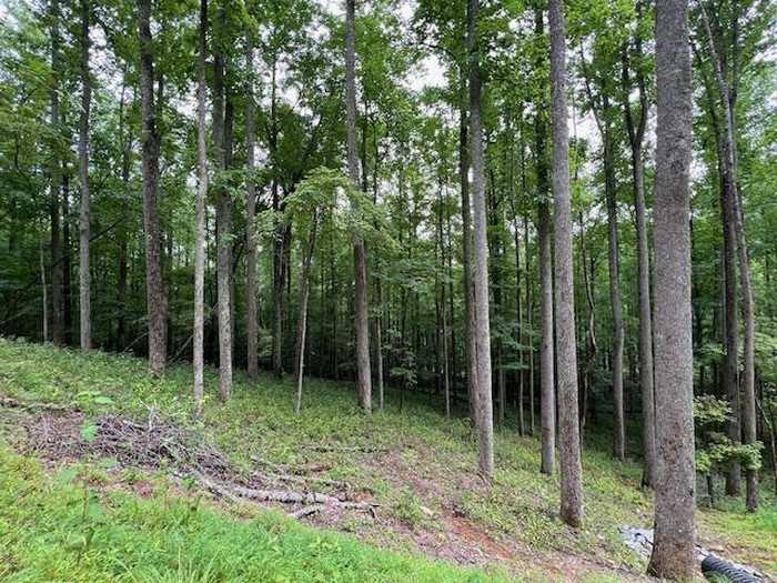 photo 19: Lot 2 Grand Oaks Trail, Morganton GA 30560