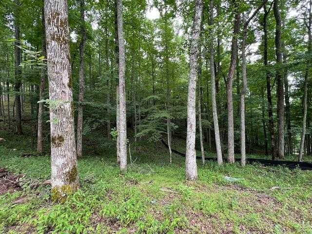 photo 3: Lot 2 Grand Oaks Trail, Morganton GA 30560