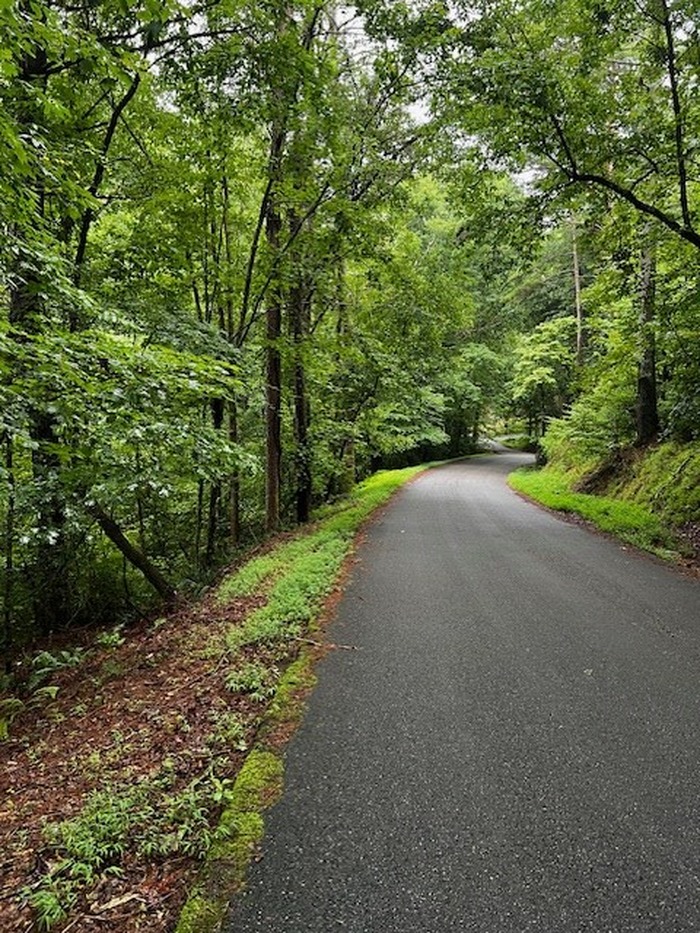 photo 6: Lot 288 Etowah Dr, Ellijay GA 30540