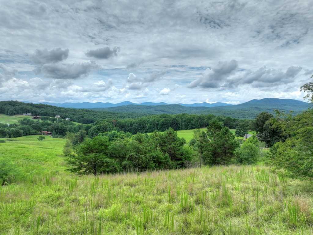 photo 2: Blue Berry Ridge, Morganton GA 30560