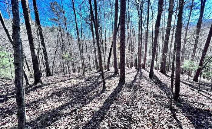 photo 2: LT 144 Alcan Way, Ellijay GA 30540