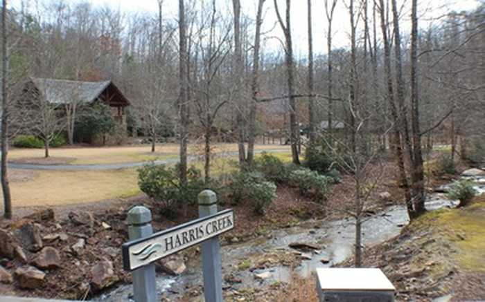 photo 2: LT113 Tranquility @ Carters Lake, Ellijay GA 30540