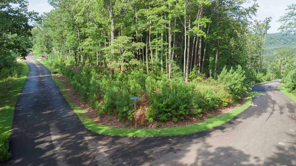 photo 3: Lot 244 Carters View Lane, Ellijay GA 30501