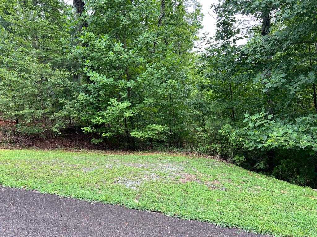 photo 1: Harris Creek Drive, Ellijay GA 30540