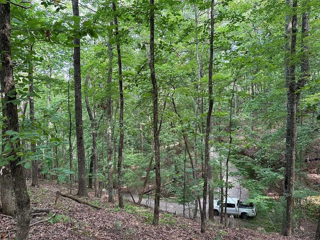 photo 3: Lot 12 Picklesimer Mountain Road, Morganton GA 30560