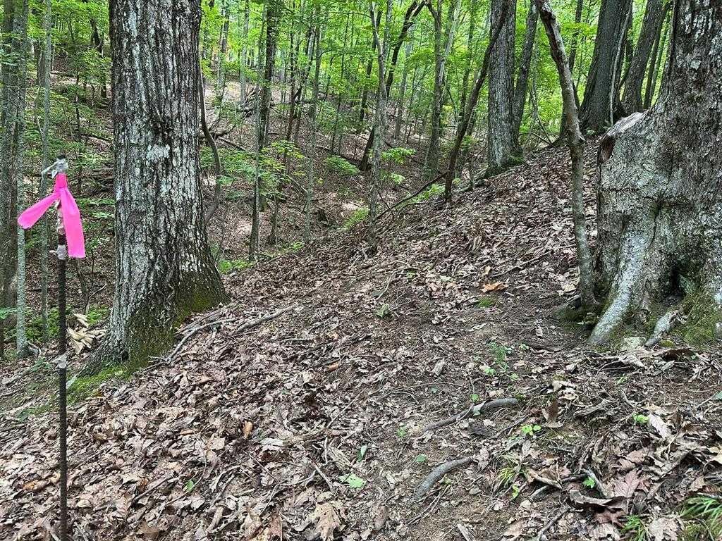 photo 1: Lot 13 Picklesimer Mountain Road, Morganton GA 30560