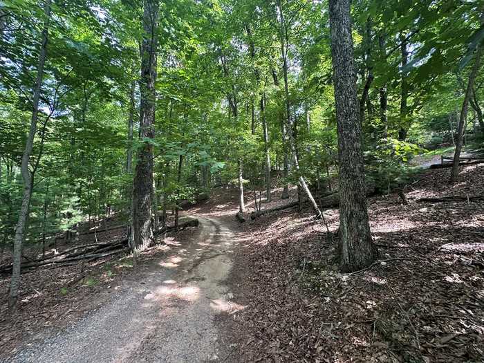 photo 25: Lot 13 Picklesimer Mountain Road, Morganton GA 30560