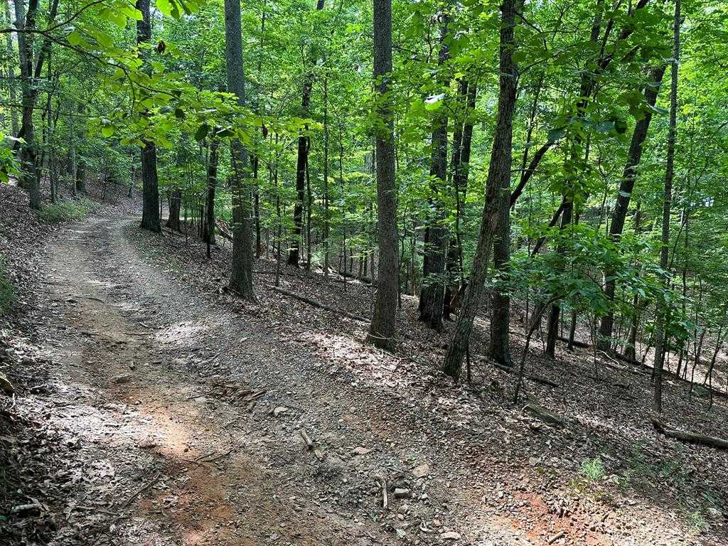 photo 3: Lot 13 Picklesimer Mountain Road, Morganton GA 30560