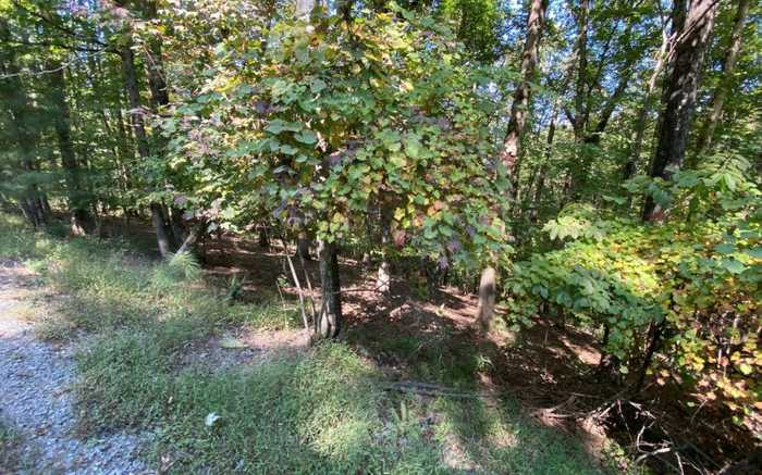 photo 1: L811 Myna Drive, Ellijay GA 30540