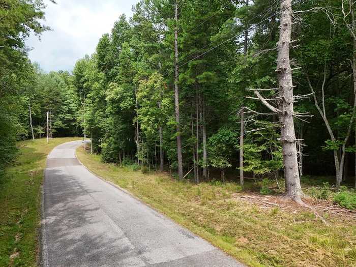 photo 1: 7.61 AC Hawks Nest Road, Blairsville GA 30512