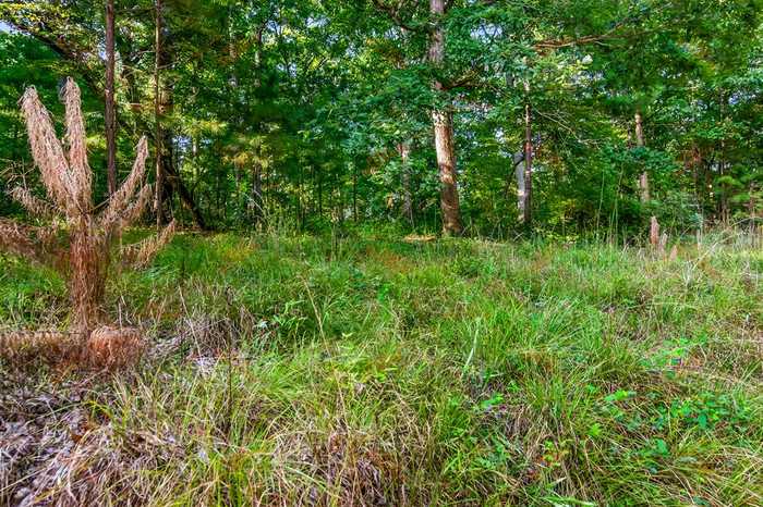 photo 7: lot 6 Mission Hill, Ellijay GA 30540