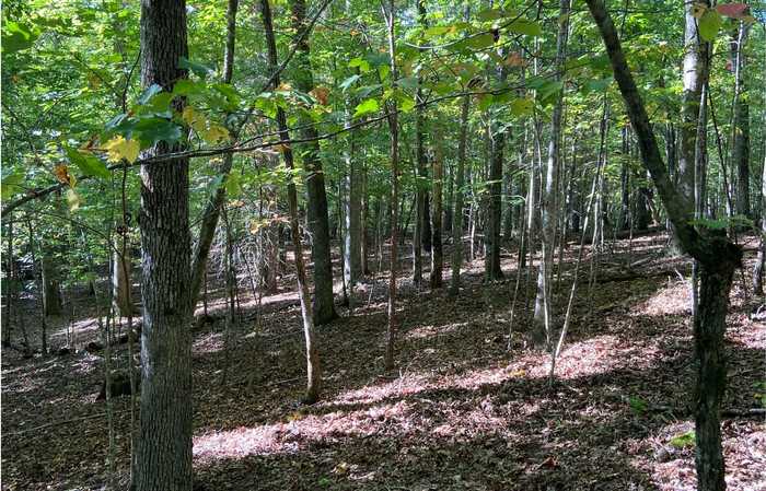 photo 1: Lot 41 Ridge Drive, Morganton GA 30560