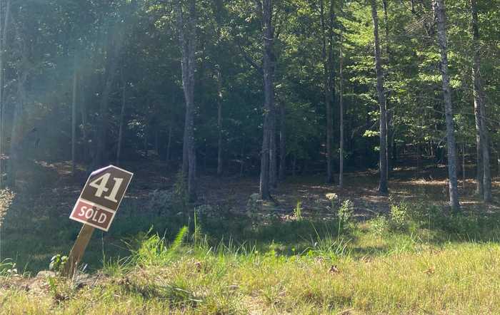 photo 2: Lot 41 Ridge Drive, Morganton GA 30560