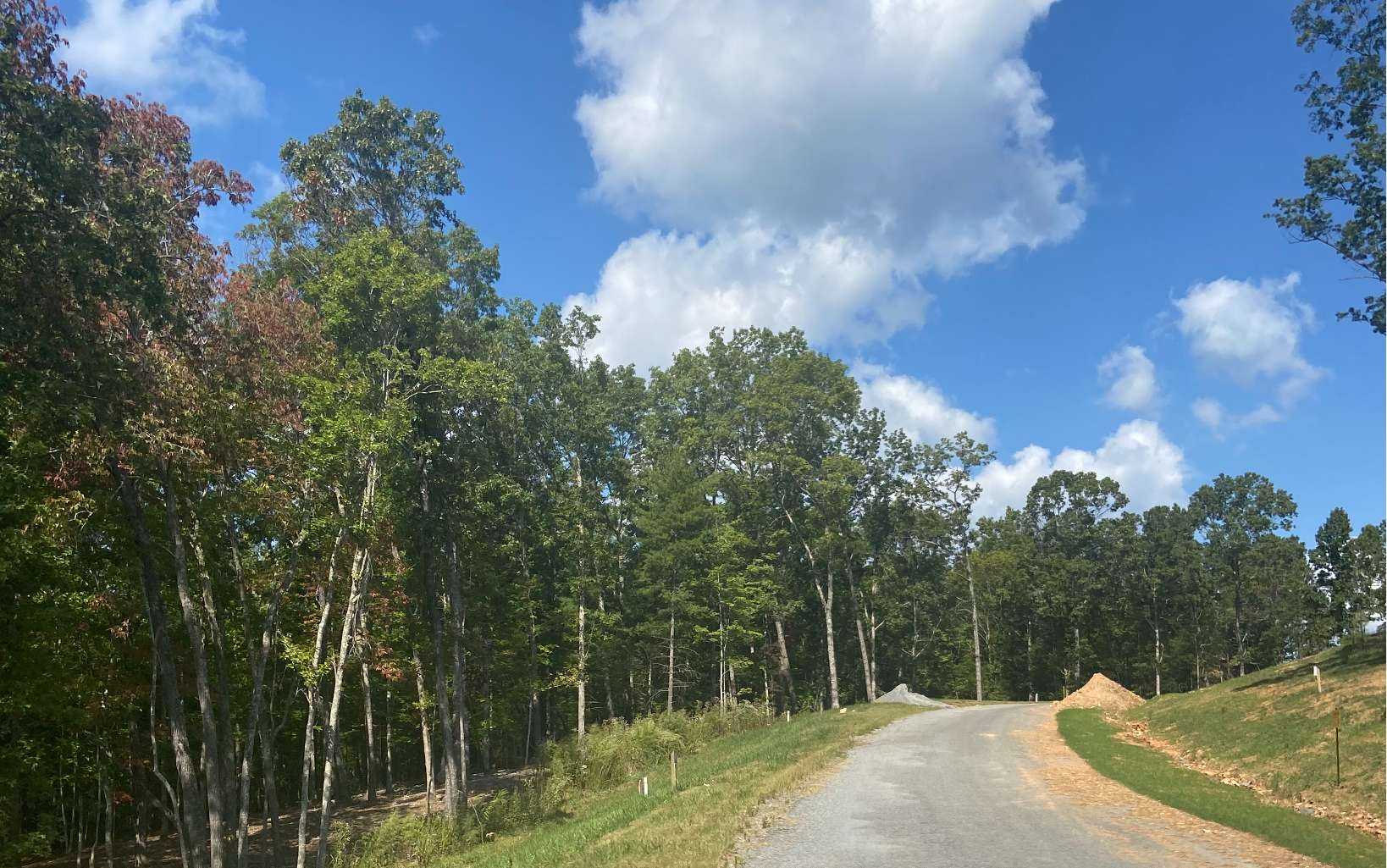 photo 3: Lot 41 Ridge Drive, Morganton GA 30560