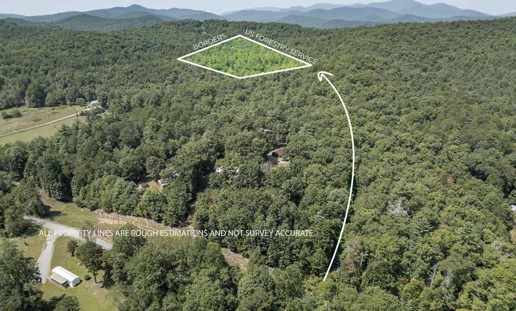 photo 1: 10 Ac Doublehead Gap Road, Blue Ridge GA 30513