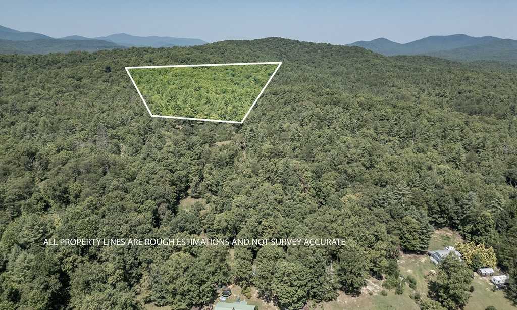 photo 3: 10 Ac Doublehead Gap Road, Blue Ridge GA 30513