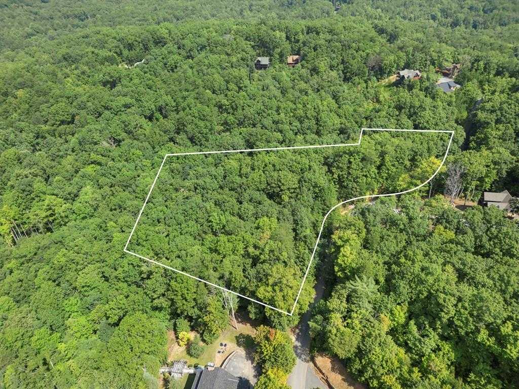 photo 1: 4 Acres Price Road, Blue Ridge GA 30513