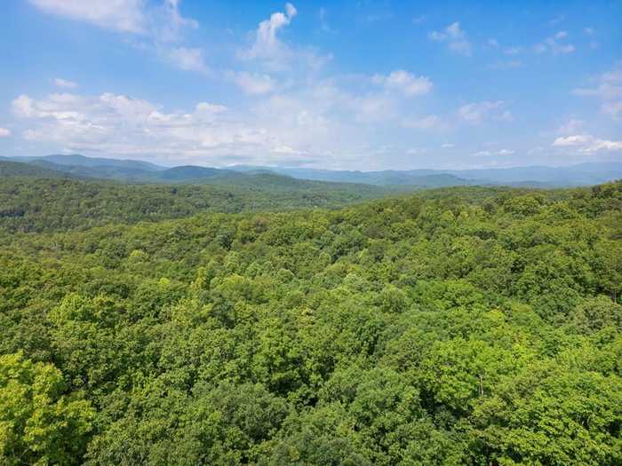 photo 2: 4 Acres Price Road, Blue Ridge GA 30513