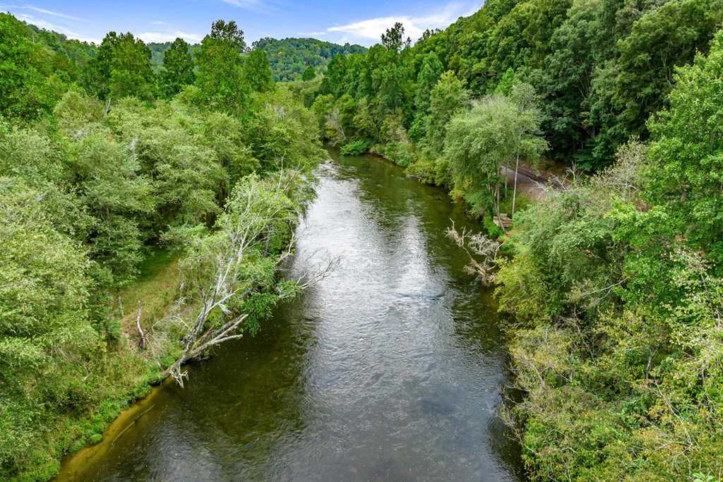 photo 3: 271 Toccoa Preserve Court, Blue Ridge GA 30513