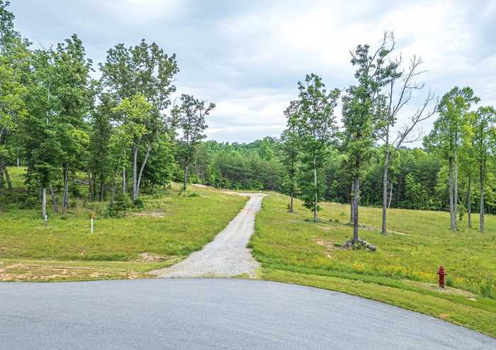 photo 2: Lot 51 Hidden Harbor, Blairsville GA 30512