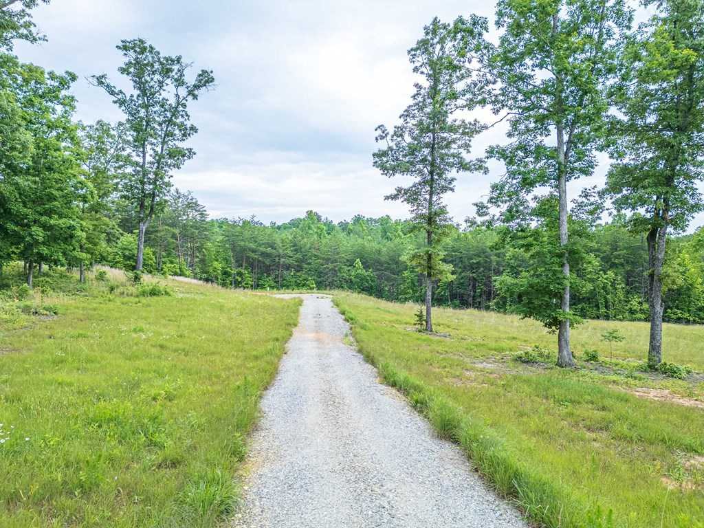 photo 3: Lot 51 Hidden Harbor, Blairsville GA 30512