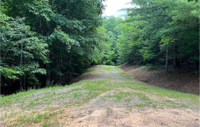 photo 1: Maple Grove Road, Morganton GA 30560