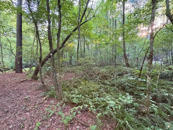 photo 2: Lots 5 6 Mt. Springer Road, Ellijay GA 30540