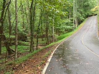 photo 1: LOT 3485 Bamby Lane, Ellijay GA 30540