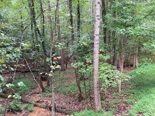 photo 2: LOT 3485 Bamby Lane, Ellijay GA 30540