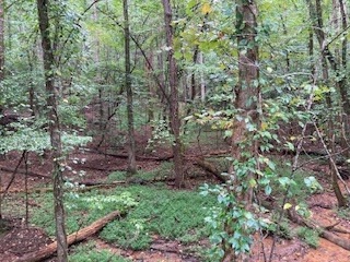 photo 3: LOT 3485 Bamby Lane, Ellijay GA 30540