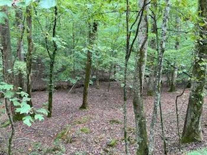 photo 1: LOT 3093 Monocle Drive, Ellijay GA 30540