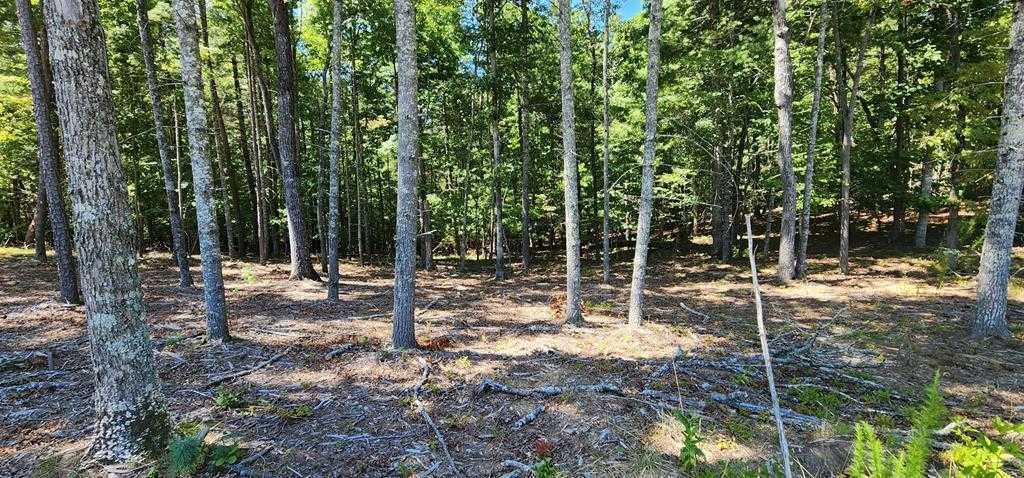 photo 2: Lot 51 Ridge Drive, Morganton GA 30560