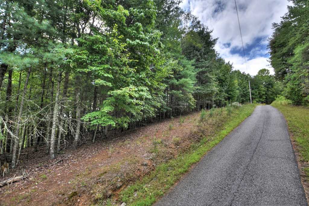 photo 3: Lot 14 Mull Lane, Morganton GA 30560