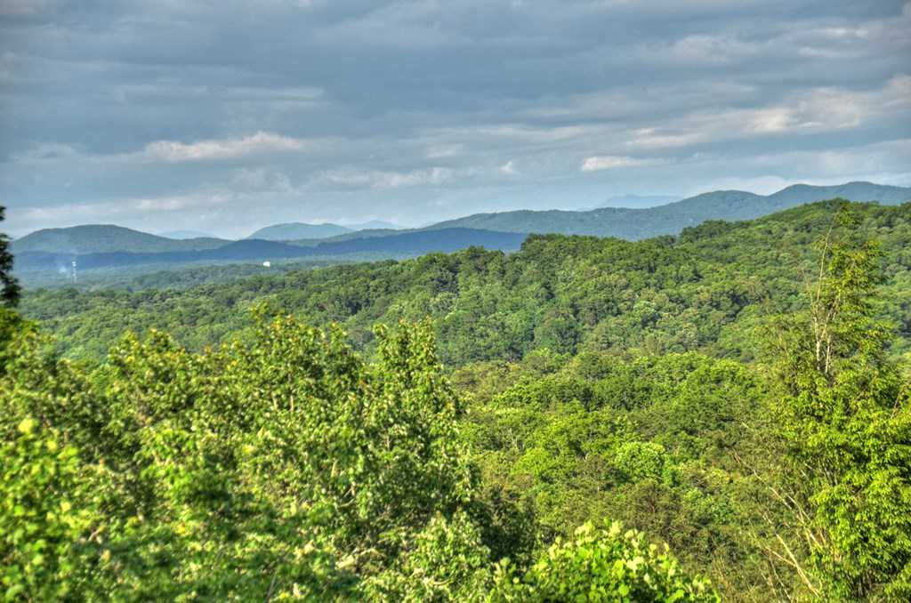 photo 2: 385 Weaver Creek Overlook, Blue Ridge GA 30513