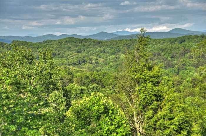 photo 75: 385 Weaver Creek Overlook, Blue Ridge GA 30513