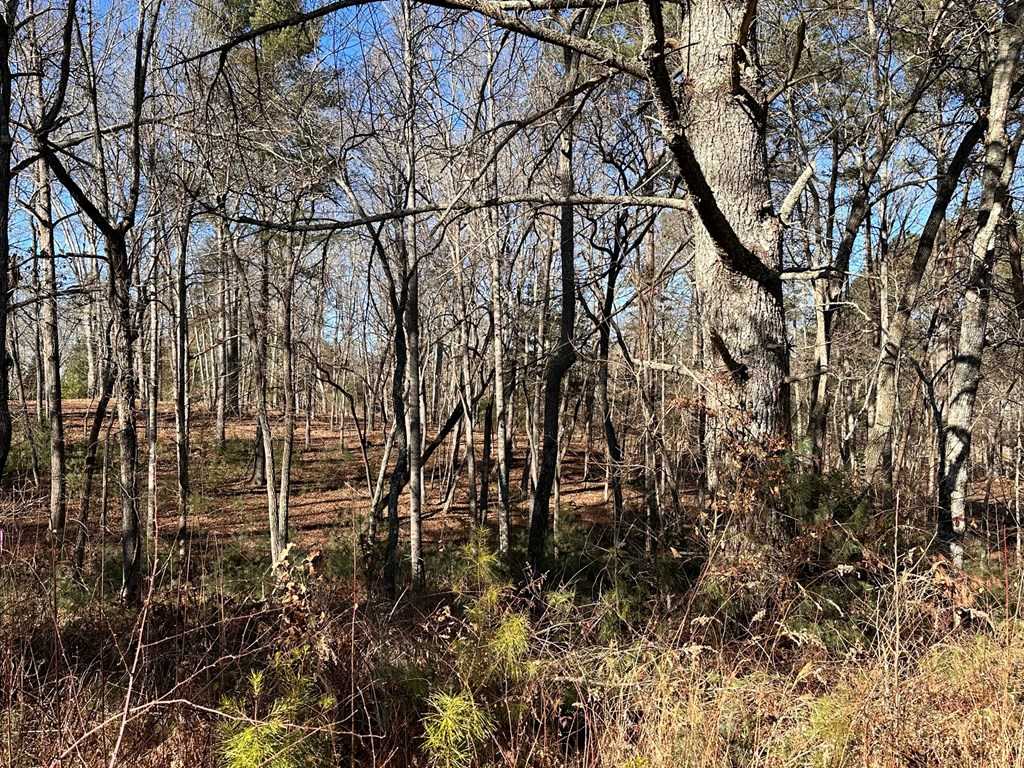 photo 3: Lot 14 Fairview Way, Morganton GA 30560