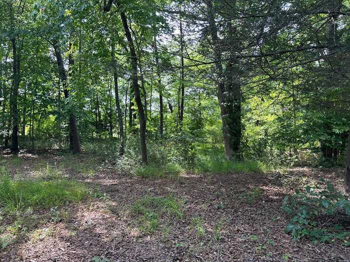 photo 9: Lot 30 Fairview Drive, Morganton GA 30560