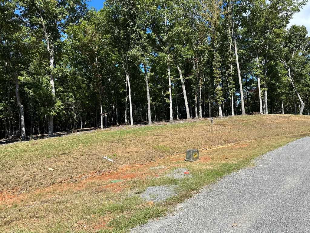 photo 3: Lt 44 Ridge Drive, Morganton GA 30560