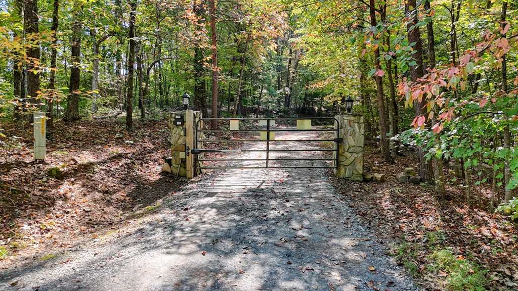 photo 3: .51 acre Charlotte Circle, Morganton GA 30560