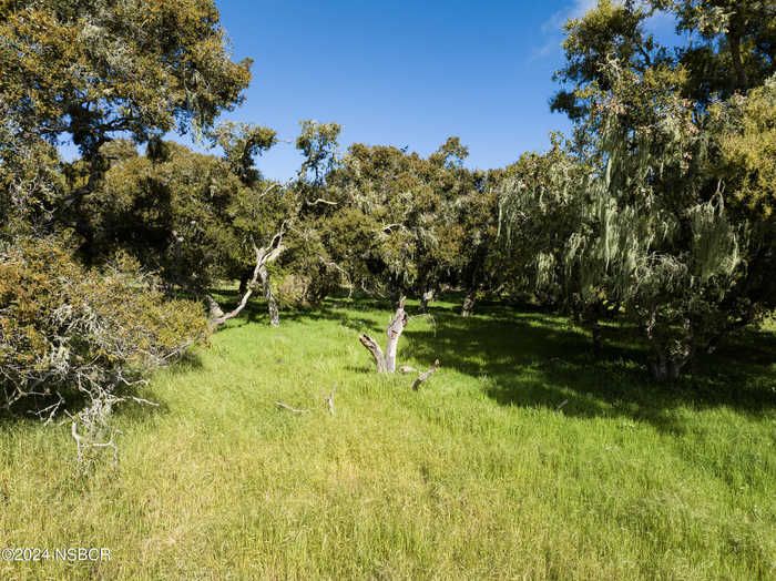 photo 60: 7855 Old Careaga Ranch Road, Los Alamos CA 93440