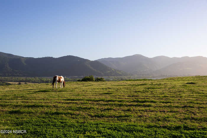 photo 49: 818 Ballard Canyon Road, Solvang CA 93463