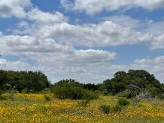 photo 1: TBD Fm 2492 & CR 103, Brownwood TX 76801