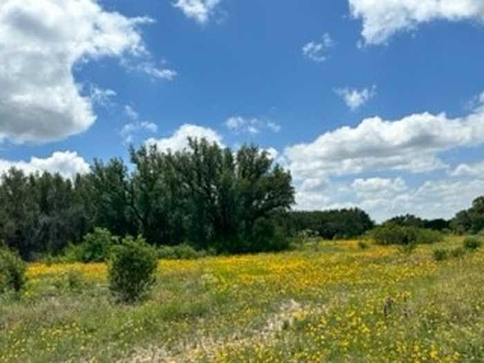 photo 30: TBD Fm 2492 & CR 103, Brownwood TX 76801