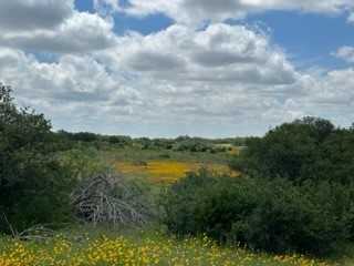 photo 3: 41 Fm 2492 & CR 103, Brownwood TX 76801