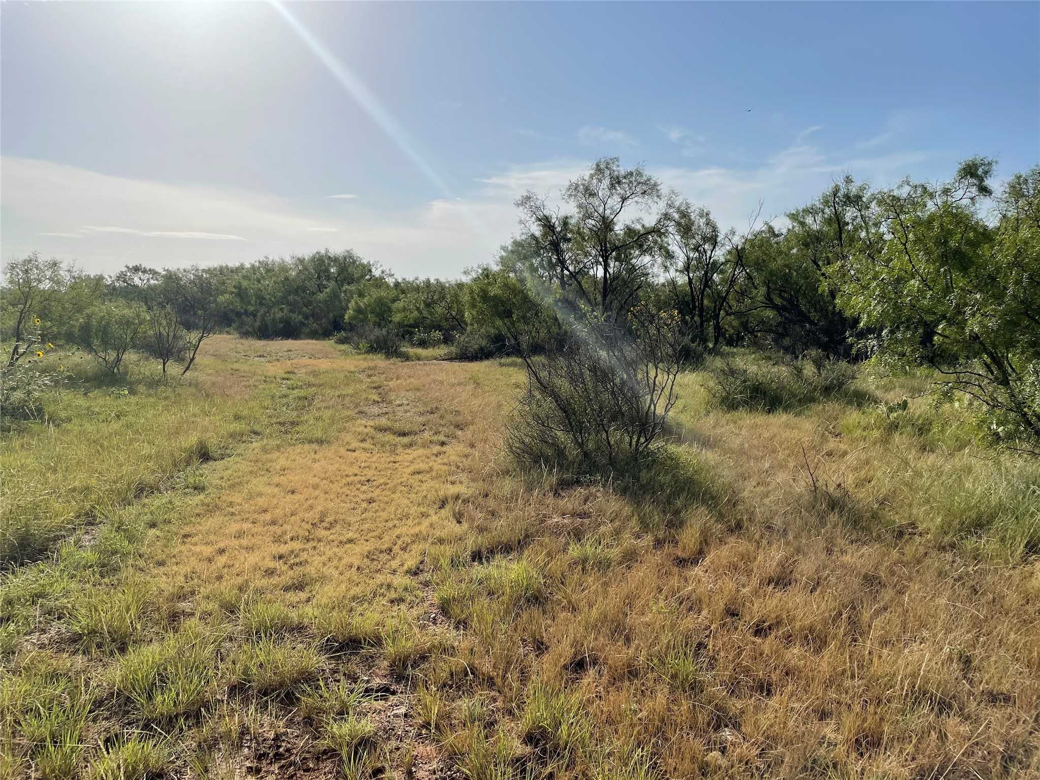 photo 1: Tract 3 (32 Ac) FM 600, Abilene TX 79601