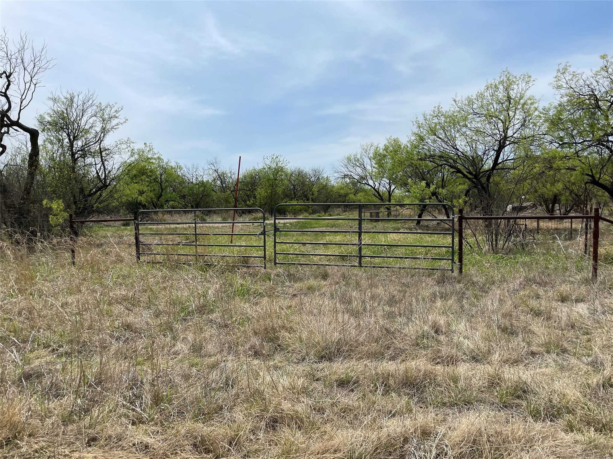 photo 3: TBD Hwy 6, Albany TX 76424